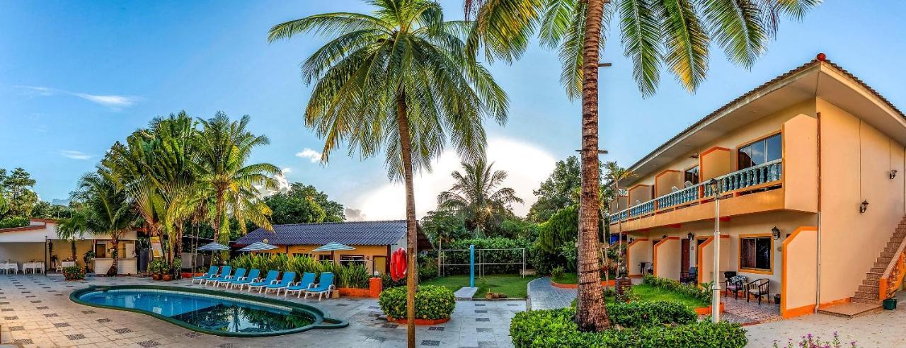 Coconut Resort Hotel Patong المظهر الخارجي الصورة